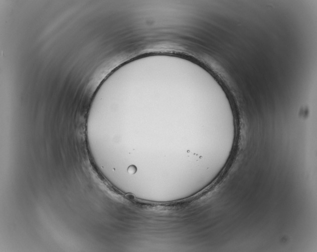 X0000111891329200908201312