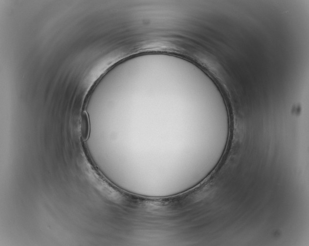 X0000111891330200908201312