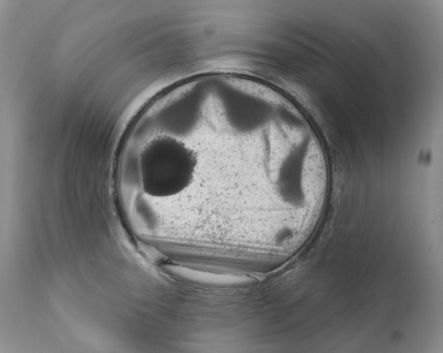 X0000111891331200908201312