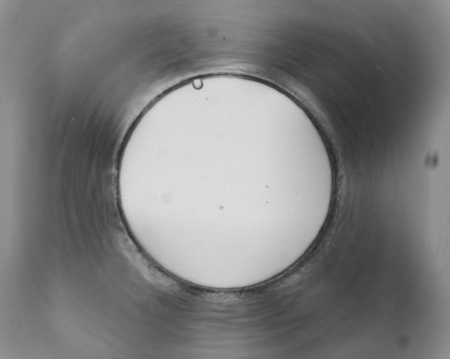 X0000111891332200908201312