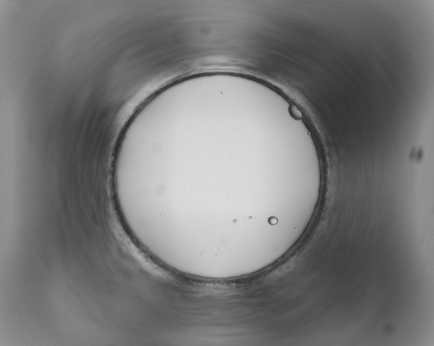 X0000111891333200908201312