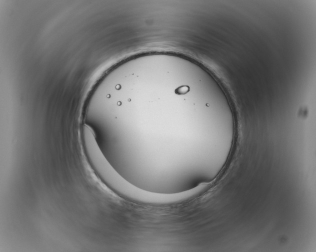 X0000111891334200908201312