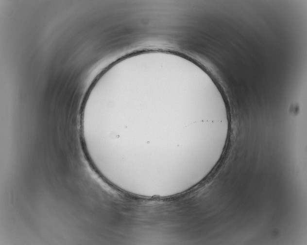 X0000111891335200908201312