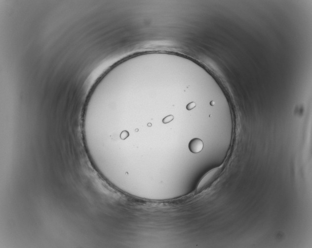 X0000111891336200908201312