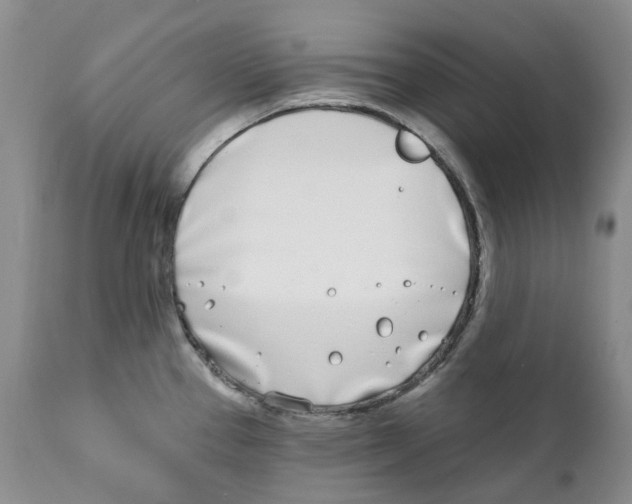 X0000111891337200908201312