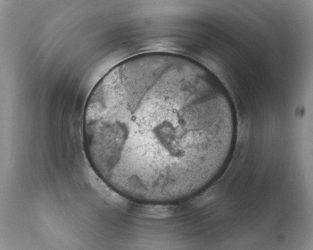 X0000111891338200908201312