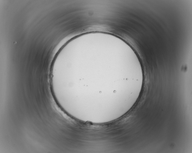 X0000111891339200908201312