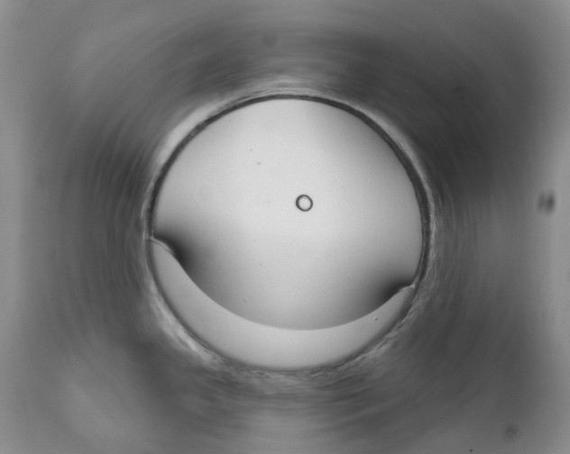 X0000111891341200908201312