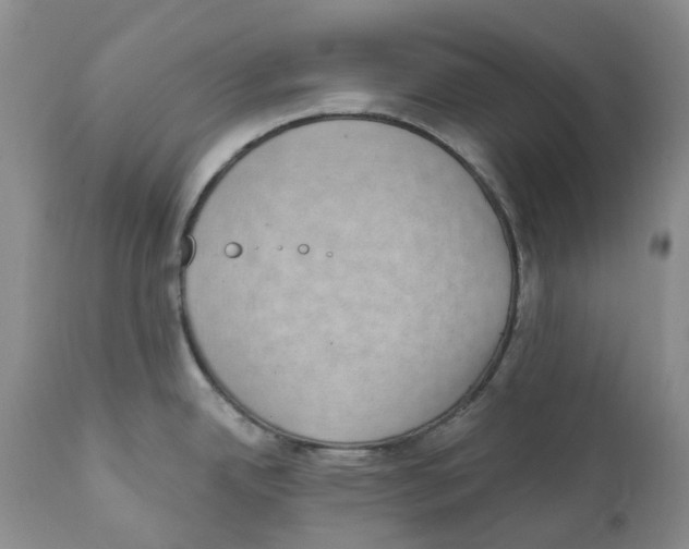 X0000111891342200908201312