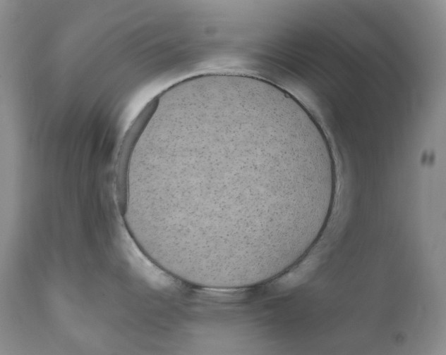 X0000111891344200908201312