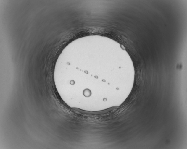 X0000111891345200908201311