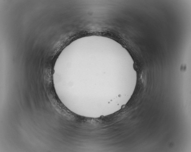 X0000111891348200908201311