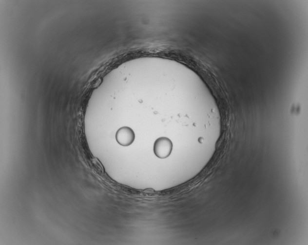 X0000111891349200908201311