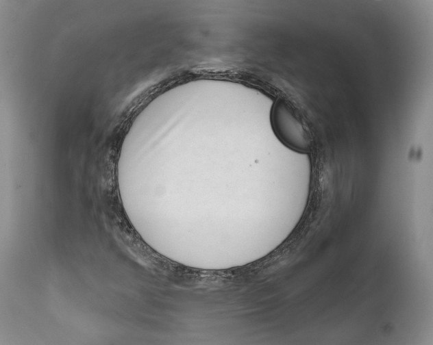 X0000111891350200908201311