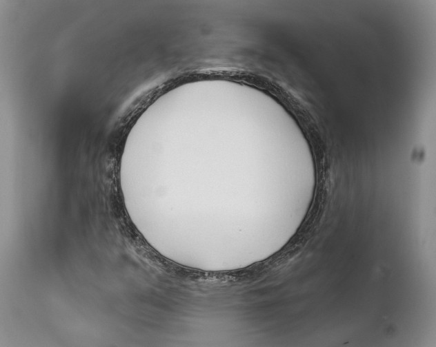 X0000111891351200908201311