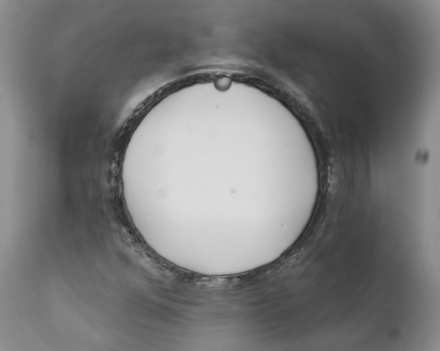 X0000111891352200908201311