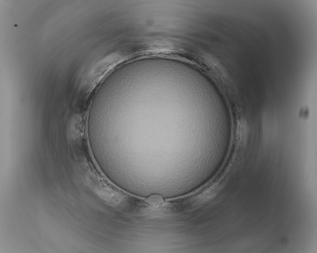 X0000111891353200908201311