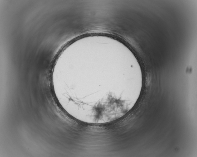 X0000111891356200908201311