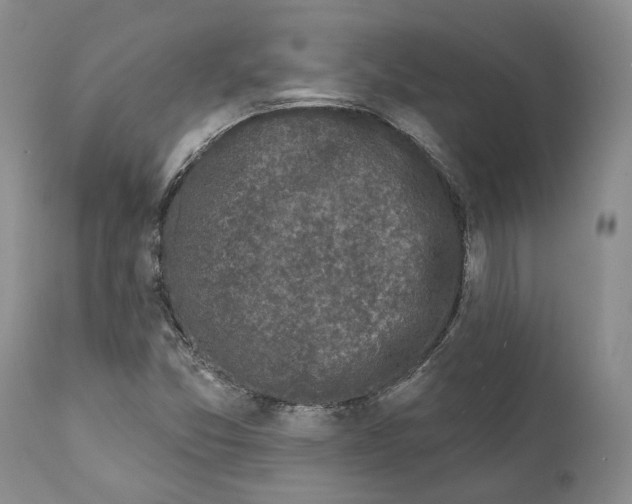 X0000111891357200908201311