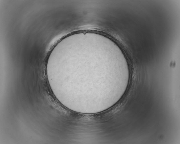 X0000111891358200908201311