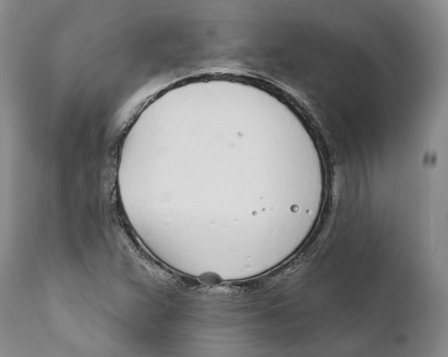 X0000111891359200908201311