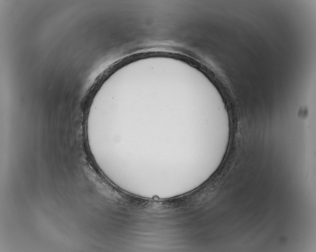 X0000111891360200908201311