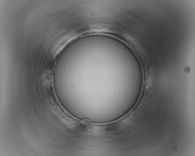 X0000111891361200908201311