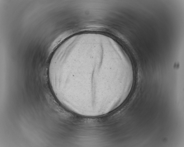 X0000111891362200908201311