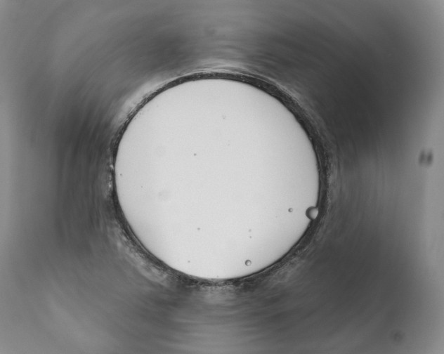 X0000111891363200908201311