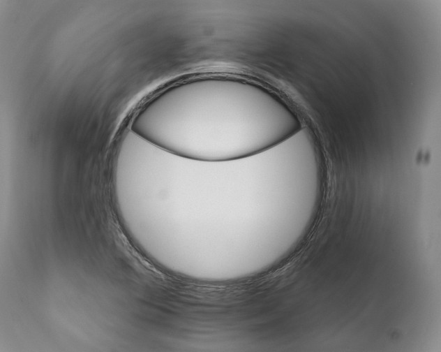 X0000111891364200908201311