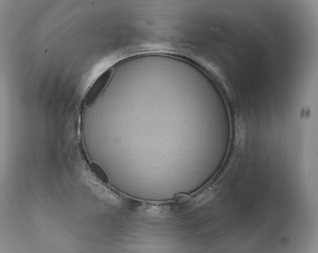 X0000111891365200908201311