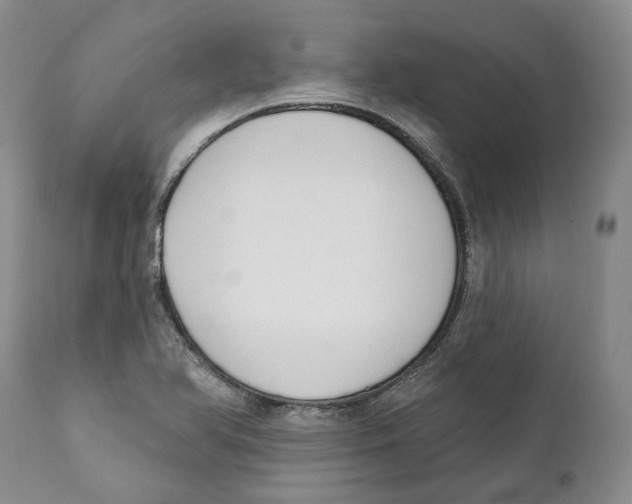 X0000111891366200908201311