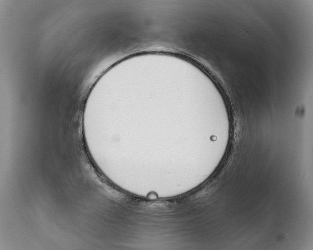 X0000111891367200908201311