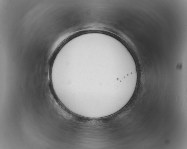 X0000111891368200908201311