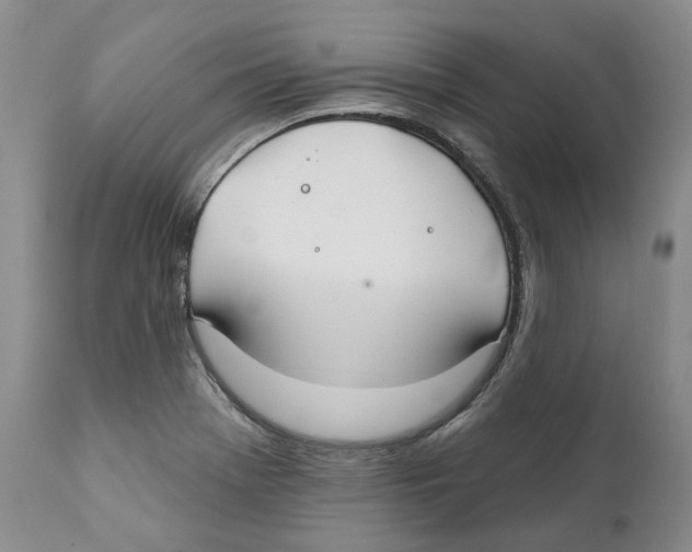 X0000111891369200908201311