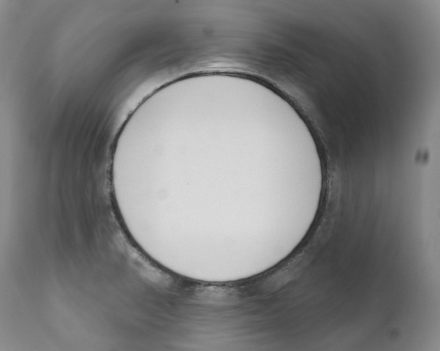 X0000111891374200908201311