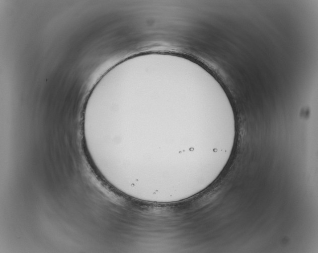 X0000111891375200908201311