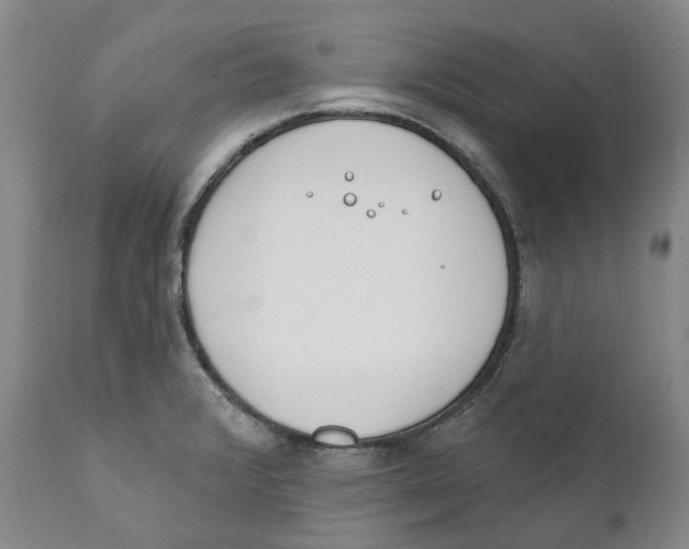 X0000111891376200908201310