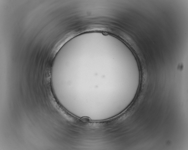 X0000111891377200908201310