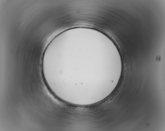 X0000111891379200908201310