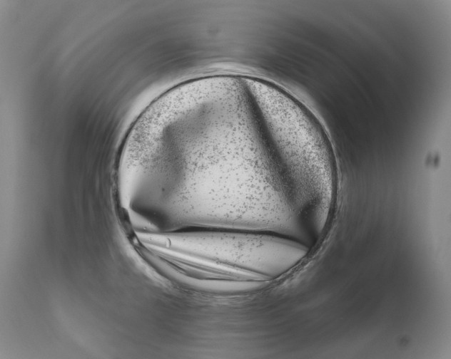 X0000111891381200908201310