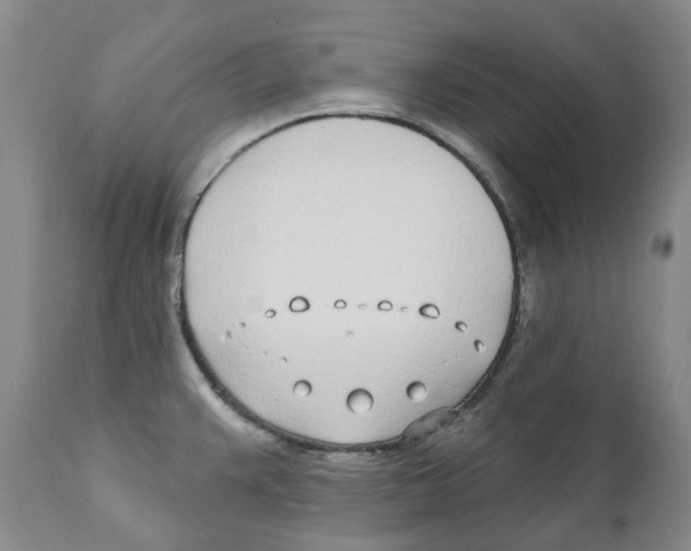 X0000111891383200908201310