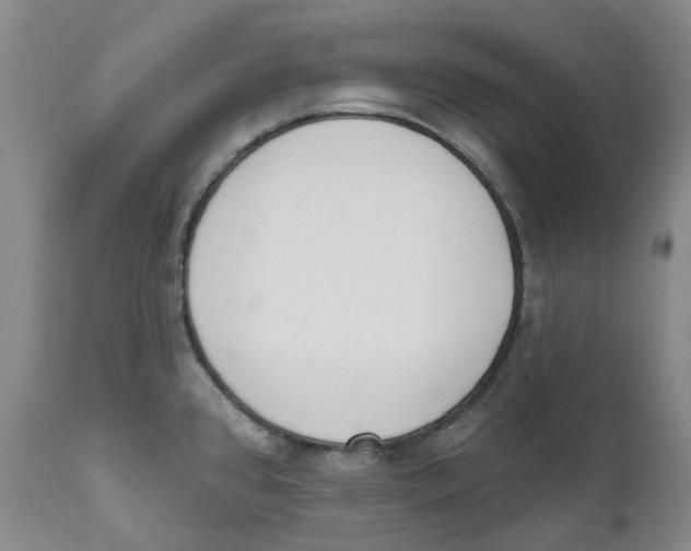 X0000111891384200908201310