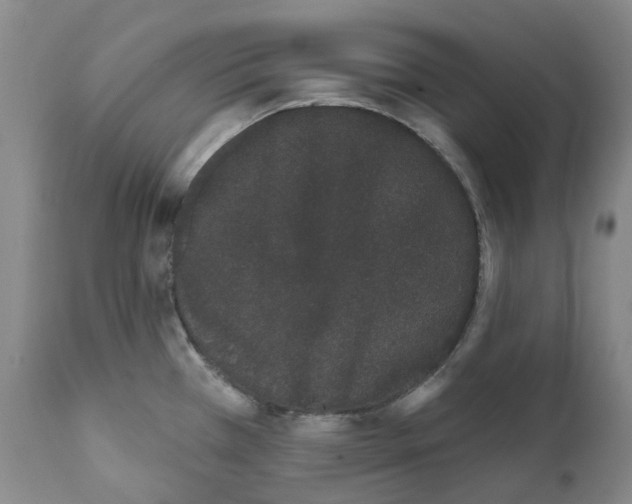 X0000111891385200908201310