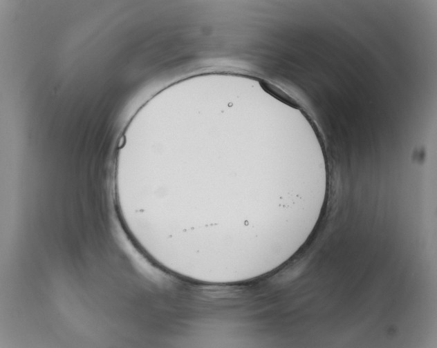 X0000111891391200908201310