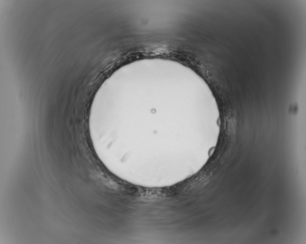 X0000111891393200908201310