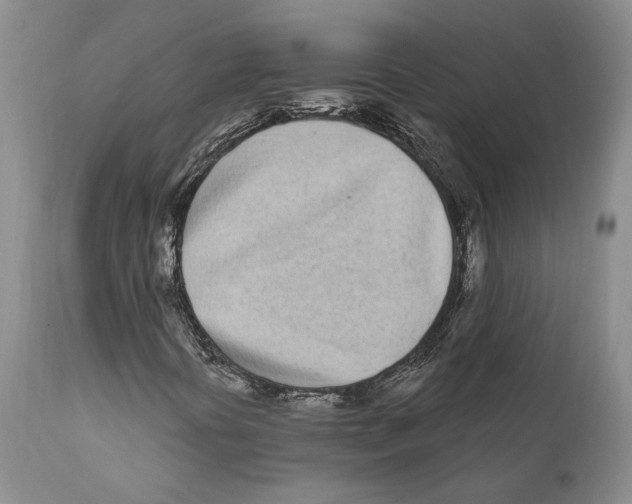 X0000111891394200908201310