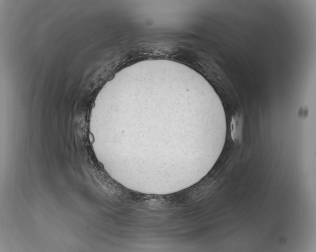 X0000111891395200908201310