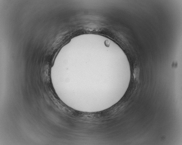 X0000111891396200908201310