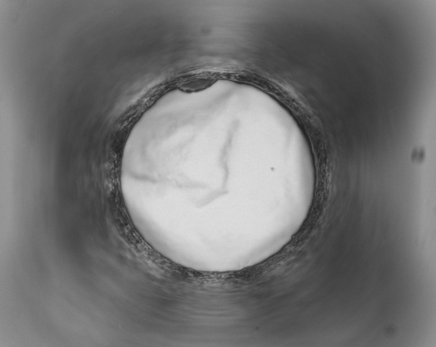 X0000111891399200908201310